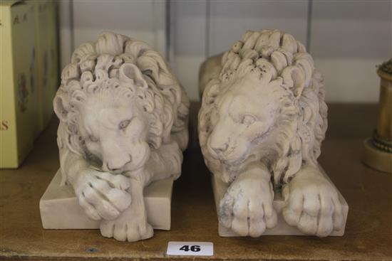 Pair lions